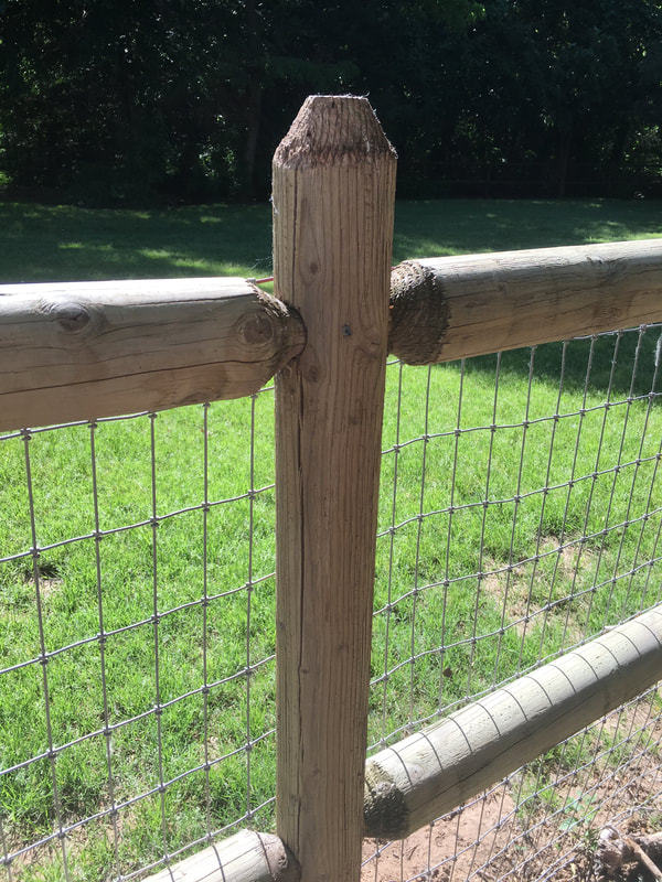 Fence Restorations project photo 18